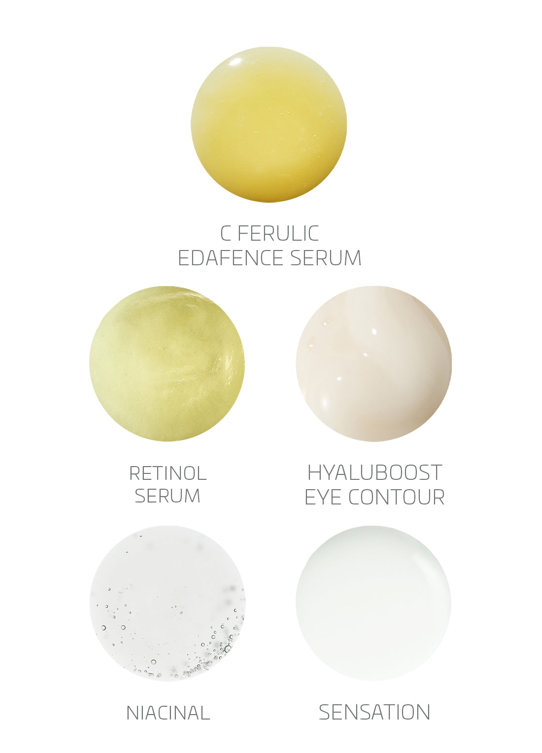 The ENDOCARE Edit: Christmas 2025